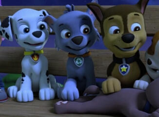 Paw Patrol